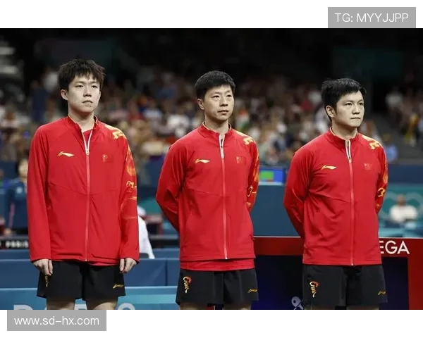 武汉乒乓球队实力强劲荣登全国乒乓球实力排行榜第九位