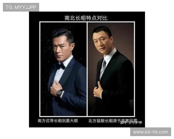 南北明星对决2020年谁更受欢迎南方魅力与北方风采的精彩碰撞 南北明星对决2020年谁更受欢迎南方魅力与北方风采的精彩碰撞