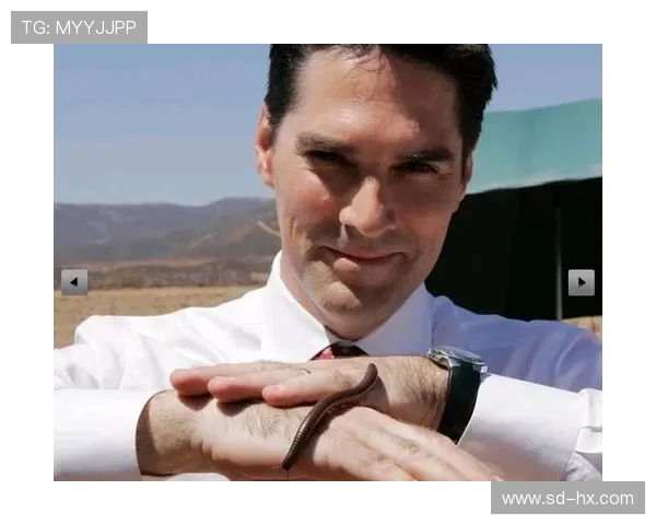 吉布森的传奇人生与创作历程探秘：从音乐到电影的多元跨界之旅