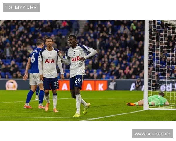 埃弗顿与热刺精彩对决回顾赛场瞬间与进球集锦全记录