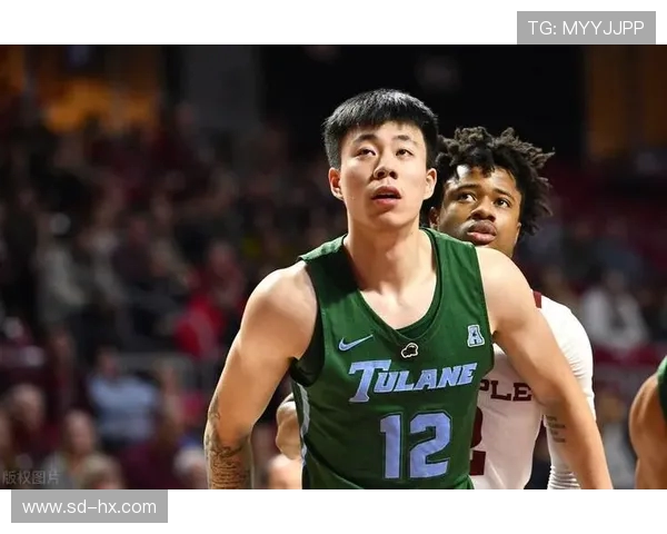 张镇麟的篮球之路：从青涩少年到职业赛场的崛起与挑战
